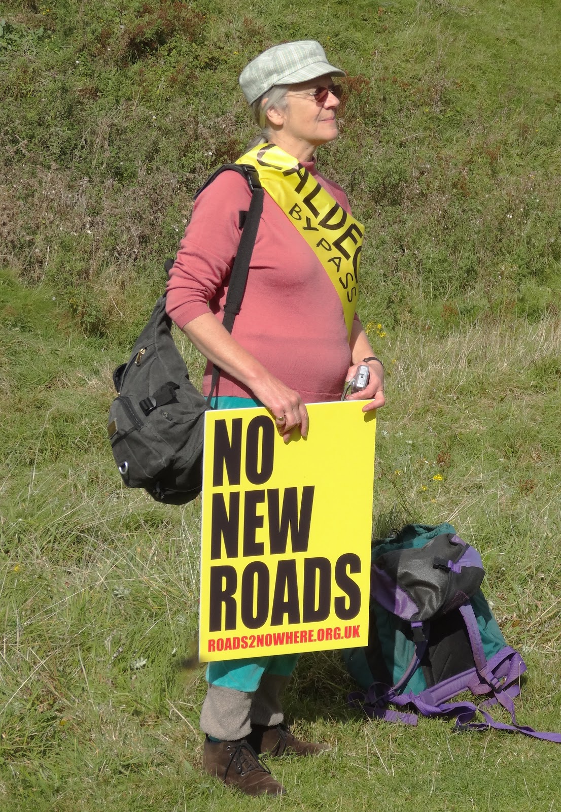 Hagthorn 20th Anniversary of Twyford Down No New Roads!