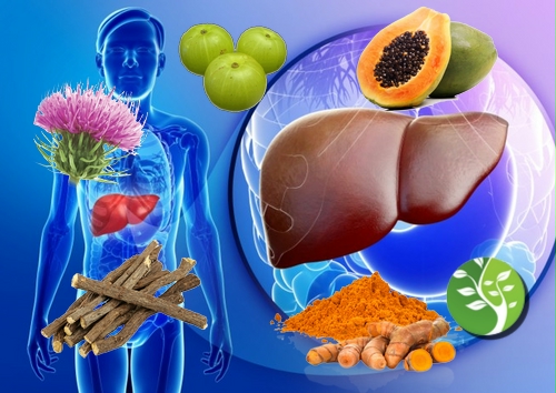 mejores remedios caseros para la enfermedad del hígado graso y la ictericia