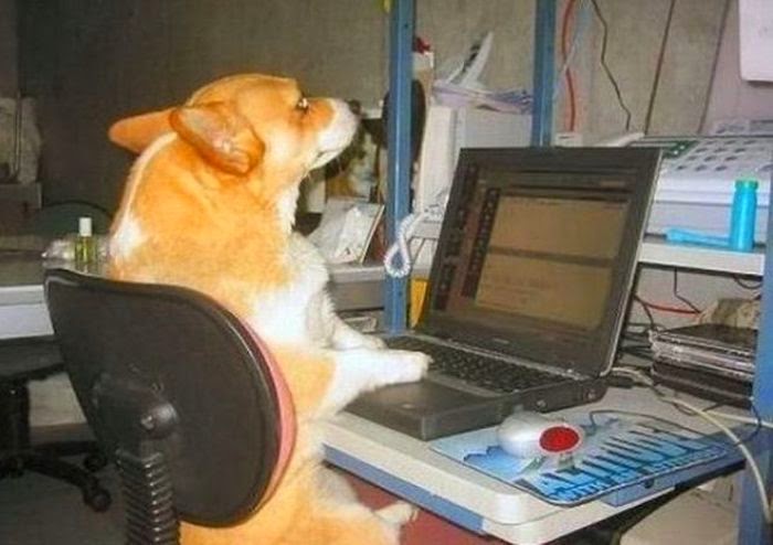 Funny Computer Geek Pics - FunnyMadWorld