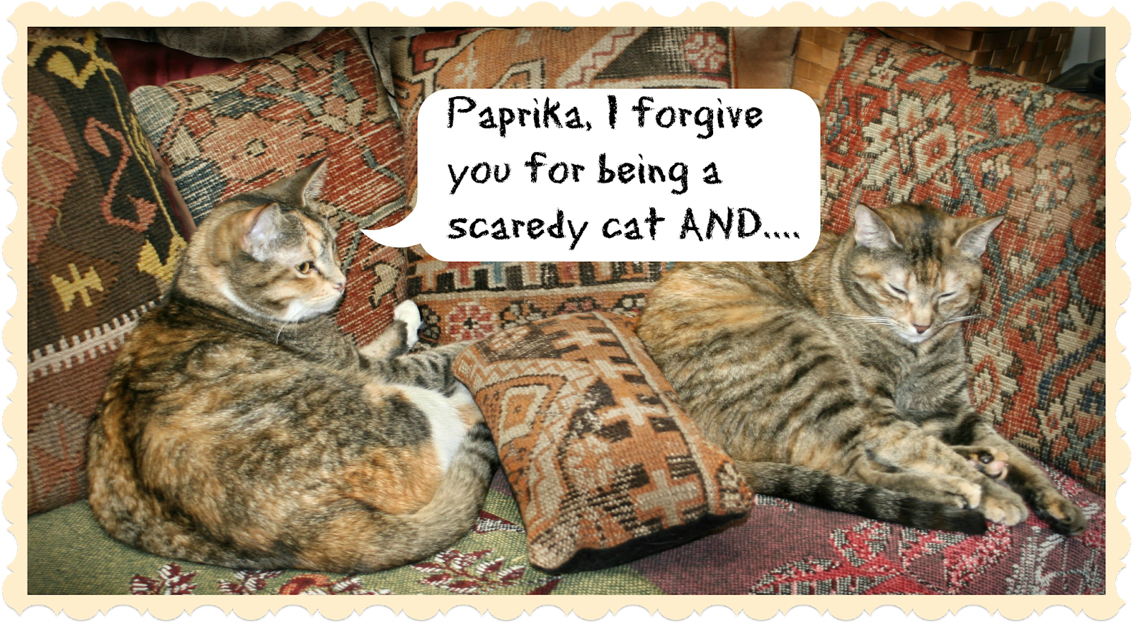 Peaches and Paprika Cat Day