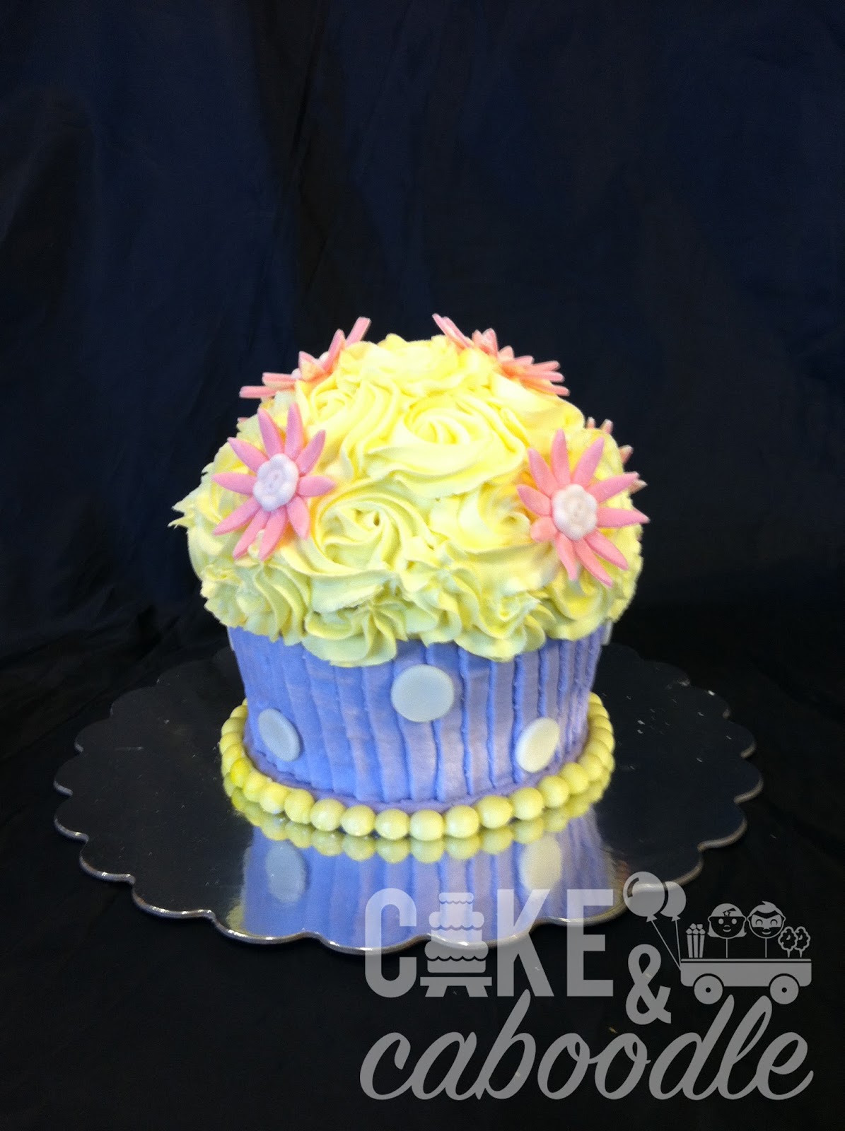 cupcake smash cake cake and caboodle