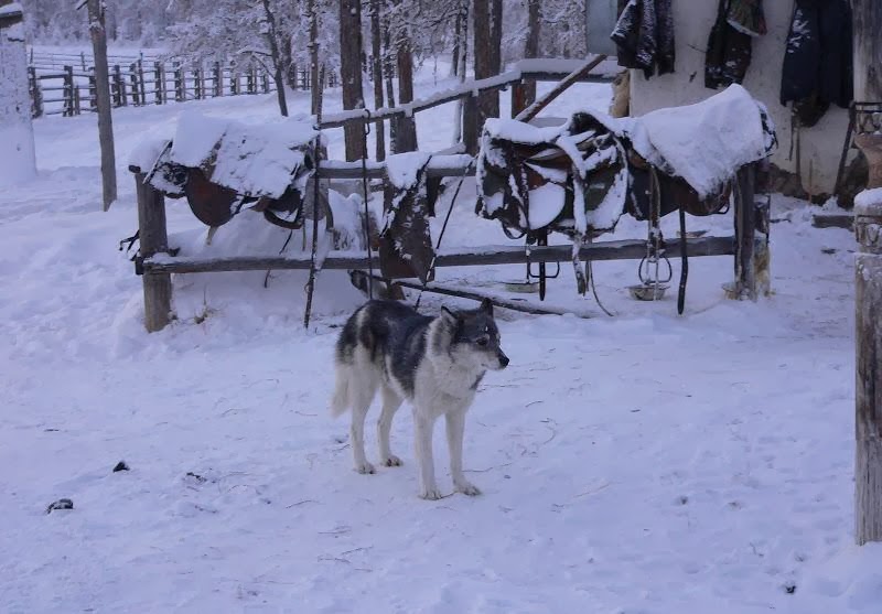 أبرد مكان على وجه الأرض