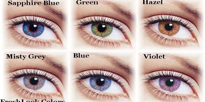 تحميل برنامج تغيير لون العين للبلاك بيري والايفون والاندرويد eye color ...