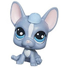 Littlest Pet Shop Multi Pack Buster Brindle (#62) Pet