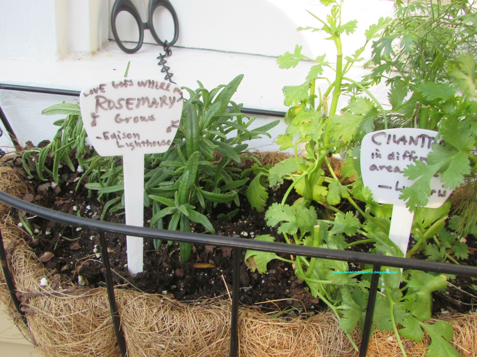 Debbi's Front Porch Herb Garden in the City