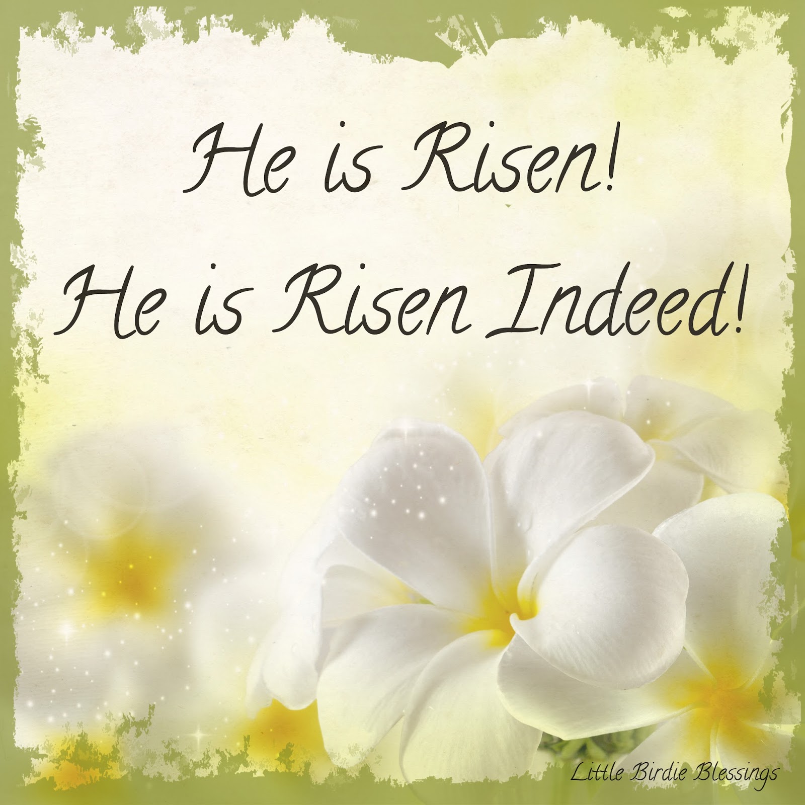 Little Birdie Blessings He is Risen Indeed!