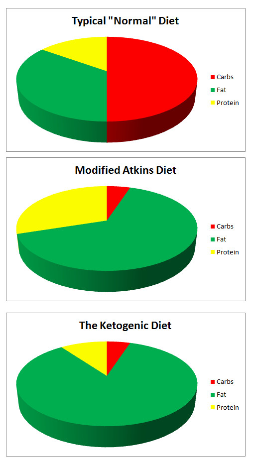 Epiphany The Clever Ketogenic Diet for some Autism