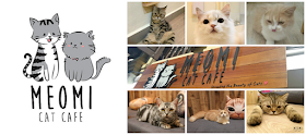 Meowmi Cat cafe logo and photo