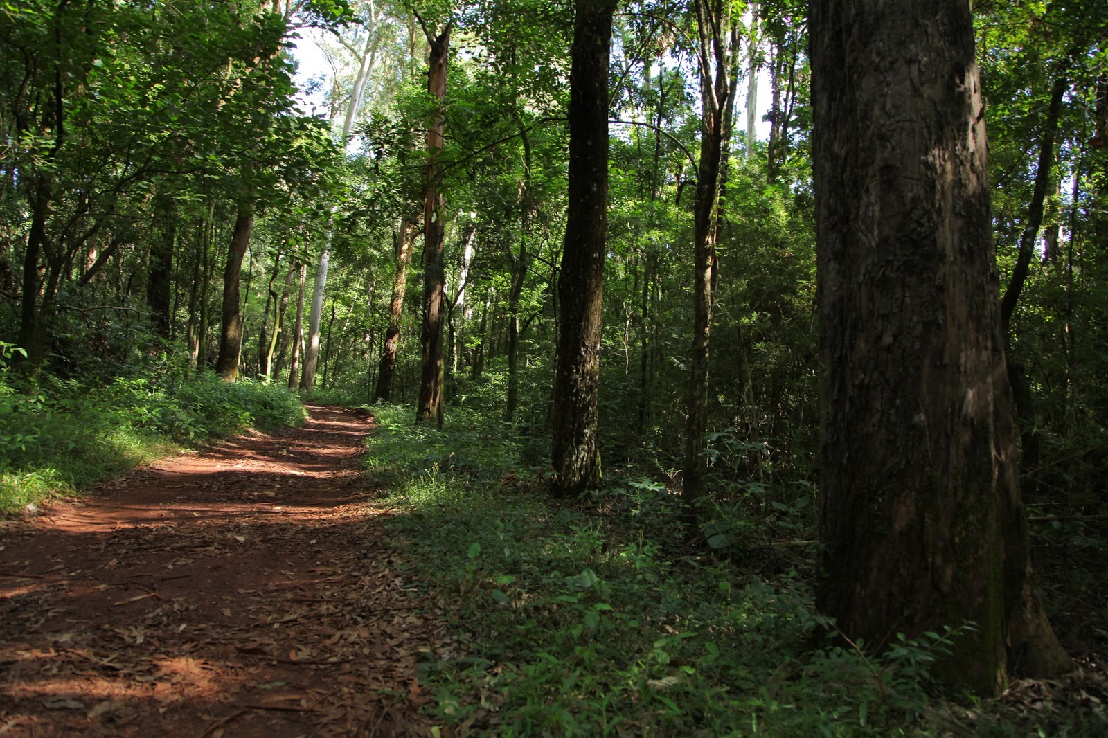 Turismo en Leandro N Alem, Misiones Conocé Leandro N Alem, Misiones!!