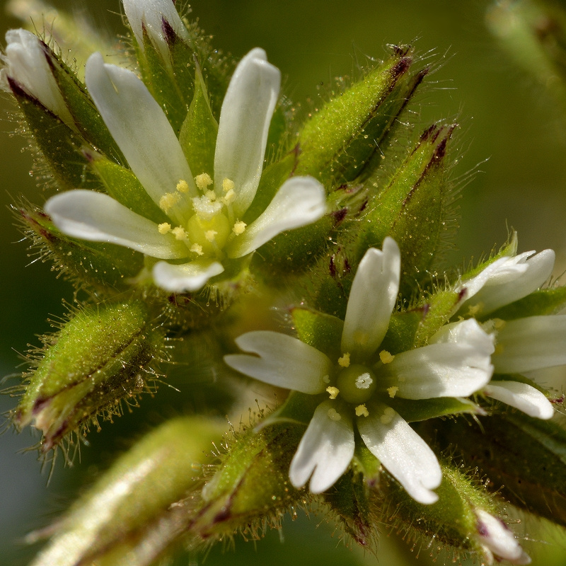 そよ風のなかで part2 4月 2015
