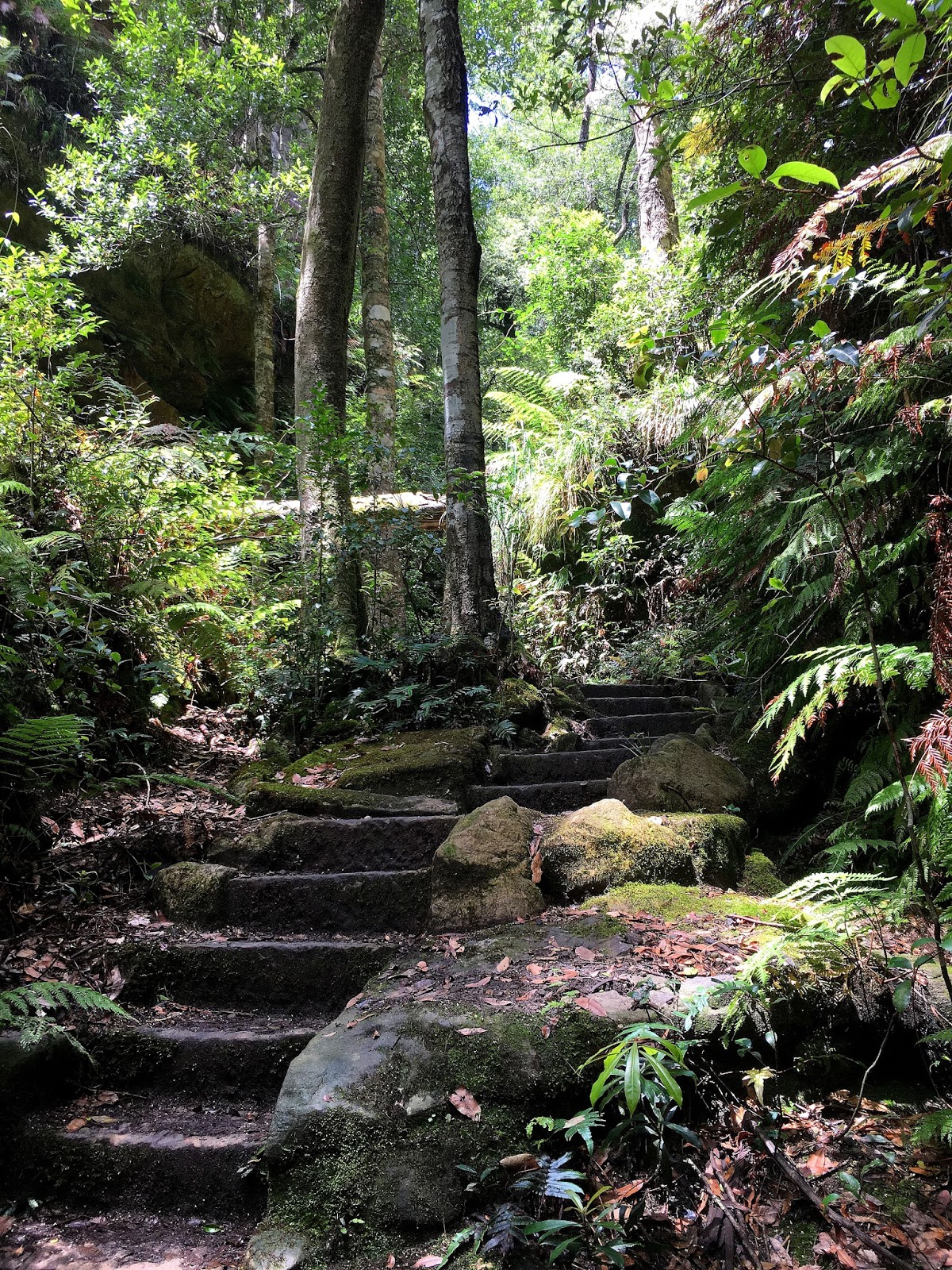 Hiking solo the Grand Canyon in Australia's Blue Mountains has been one of the greatest adventures. With breathtaking views and endless stairs, come and find out more!