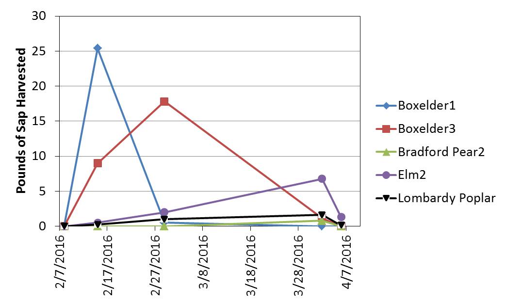 The Homestead Laboratory Sap Recap
