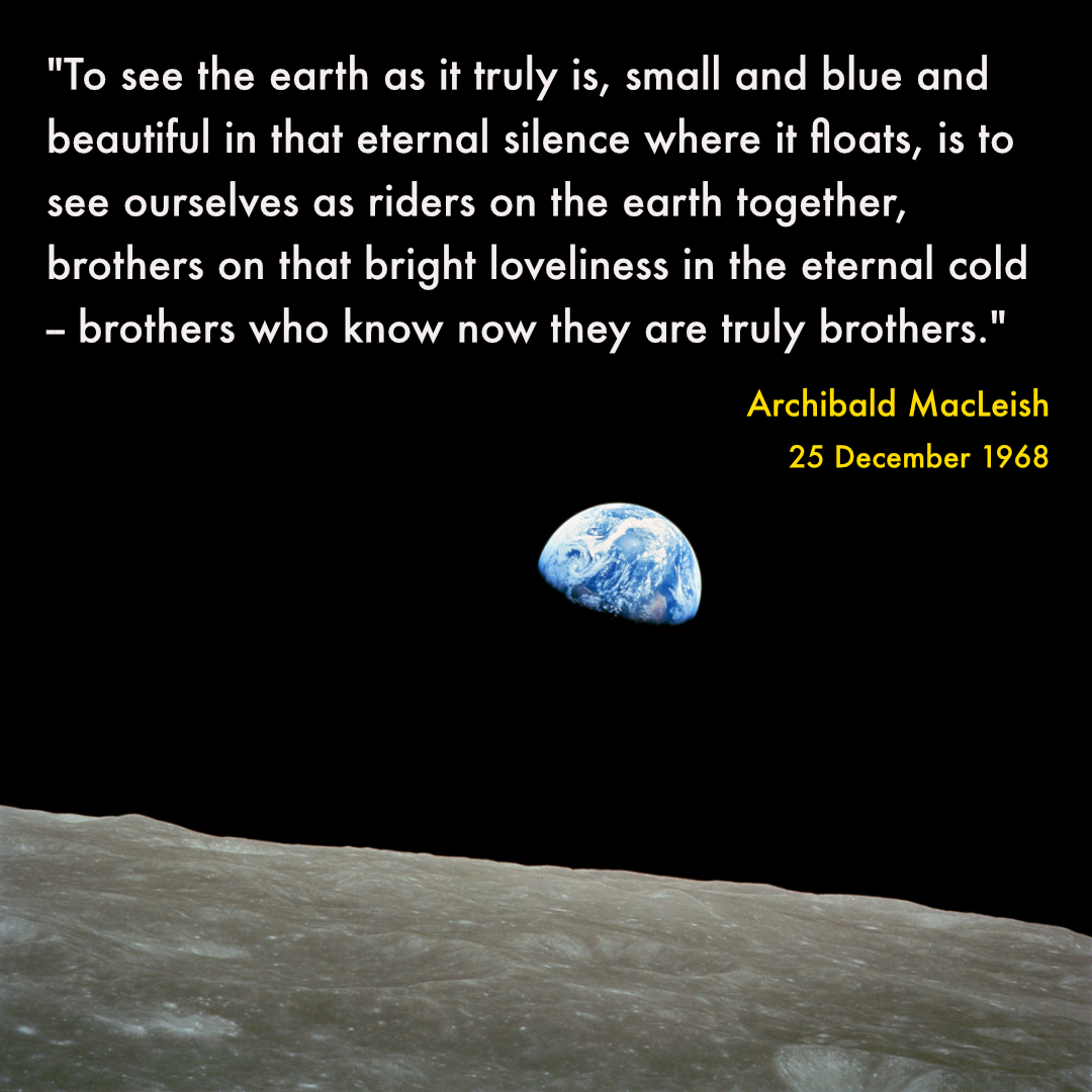 A Cosmobiologist's Dream