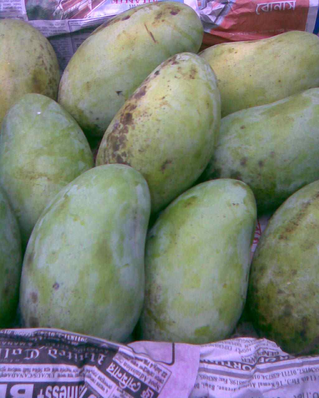 fruit Mango varieties