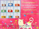 Розыгрыш от Toysfabric