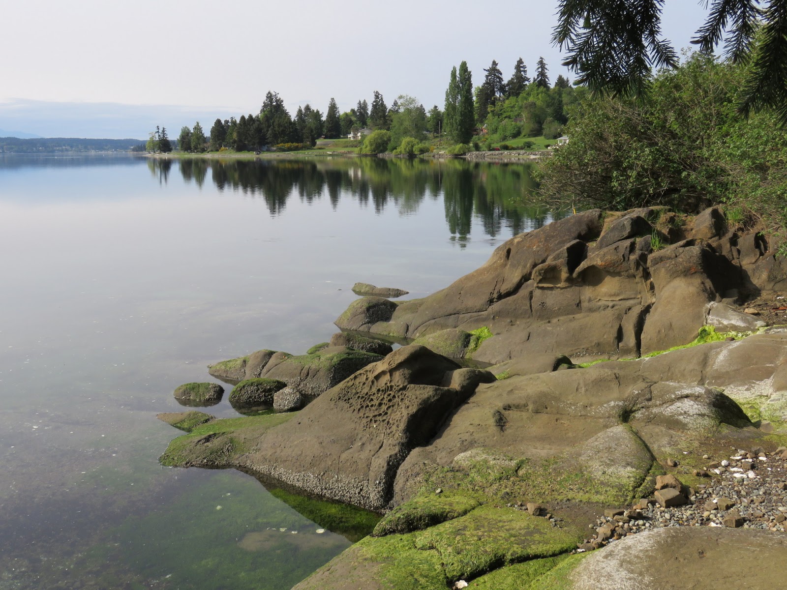 Gravel Beach Tracyton Beach Road