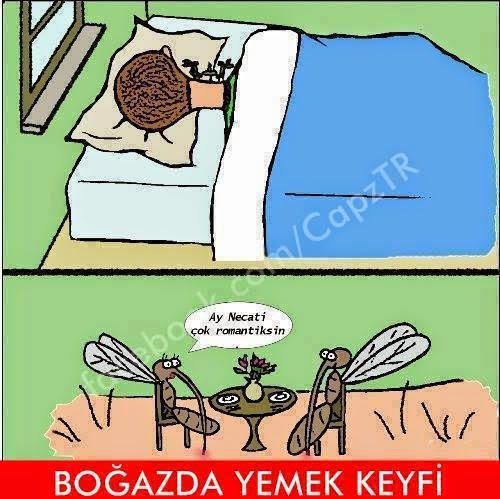 onedeepduru_inci_caps+%281%29.jpg