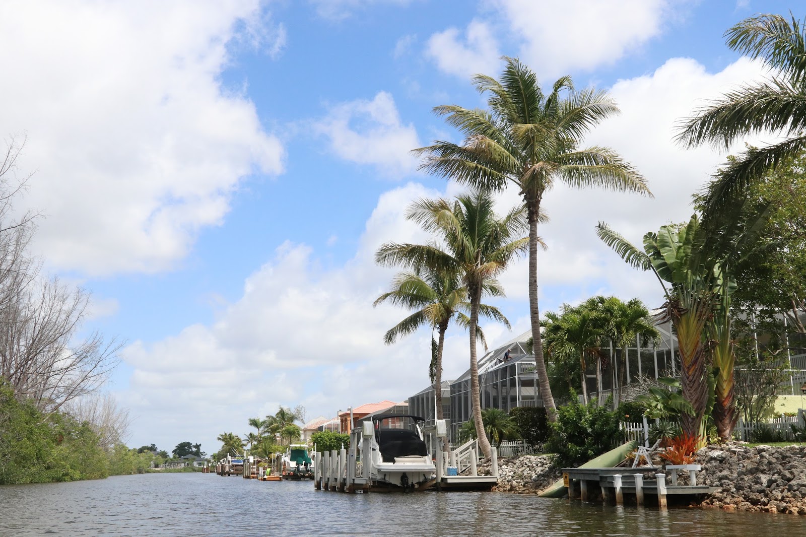 Southwest Daily Images Gordon River