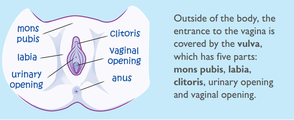 Taking care of your reproductive health ~ It's All about Health