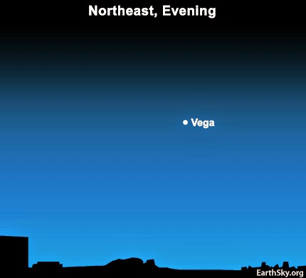 Quan sát ngôi sao sáng Vega vào những buổi tối tháng 5 - 1 / Thiên văn học Đà Nẵng