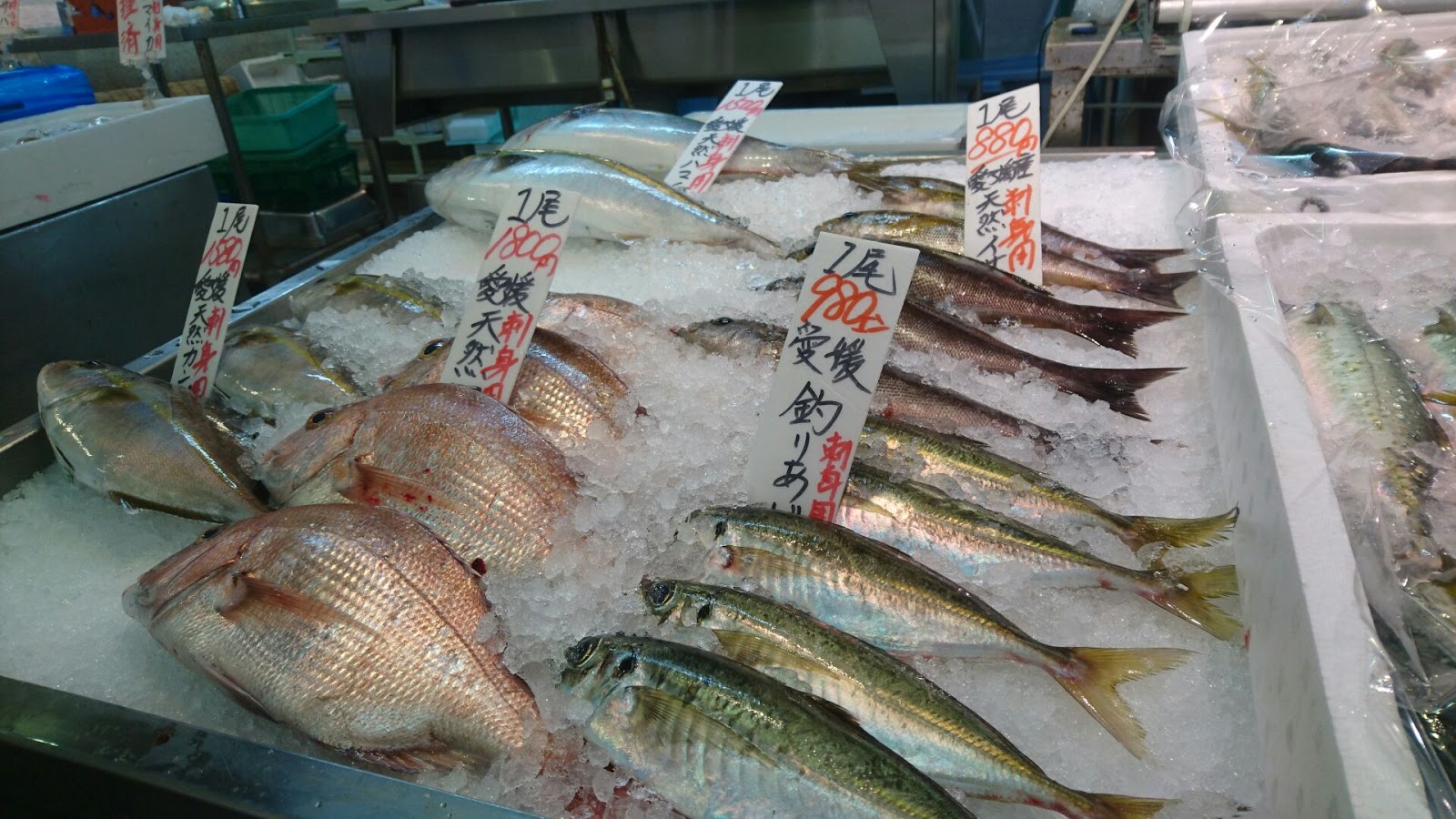 旬感 えひめチュレ 瀬戸内海響市場エフ マルシェの 新鮮なお魚