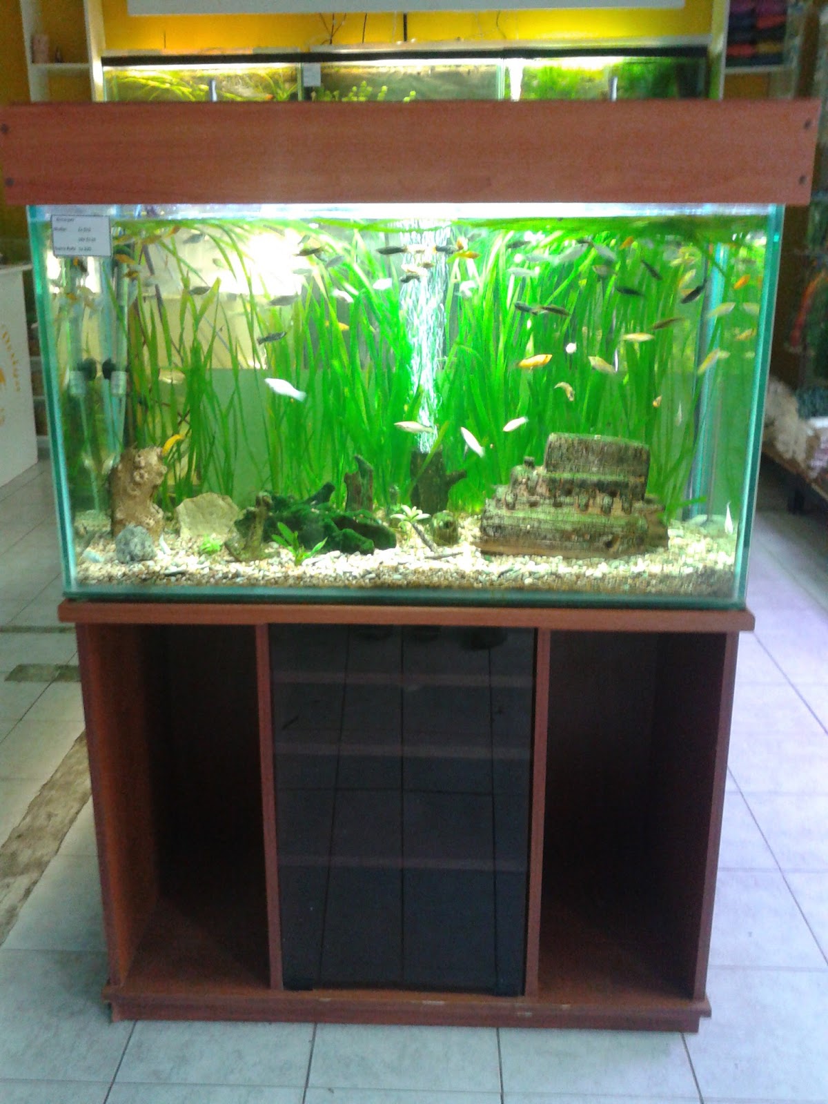 Iluminadores para Acuarios ( TAPAS DE MADERA )