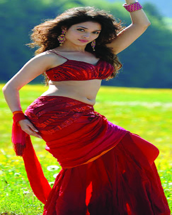 South Indian Actress Hot Pictures Tamanna Actress Hot