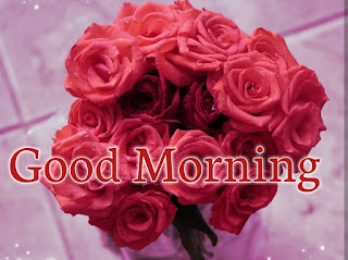 good morning good morning