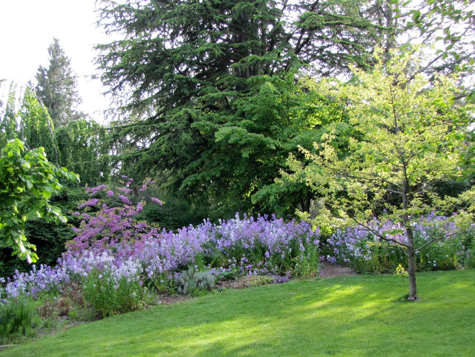 My Front Porch vancouver's van dusen gardens...