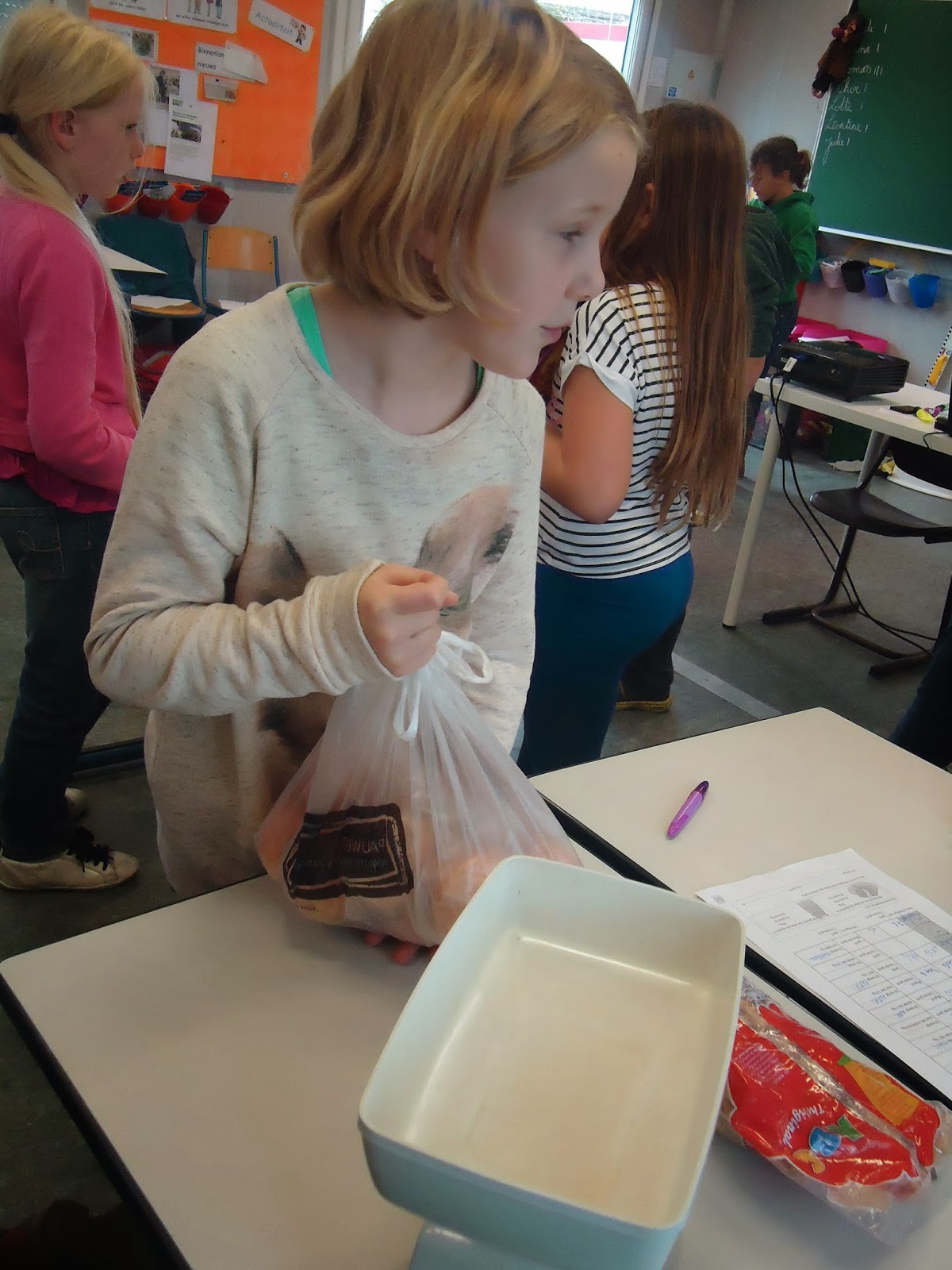 Vierde leerjaar Hoeveel weegt een pompoen,