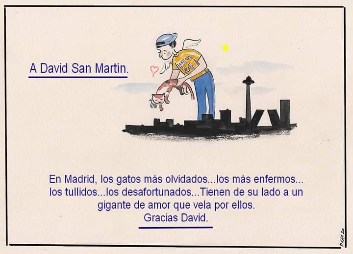 Rescates David San Martín