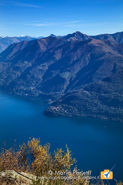 Pino lago Maggiore e Tamaro Pino lago Maggiore e Tamaro