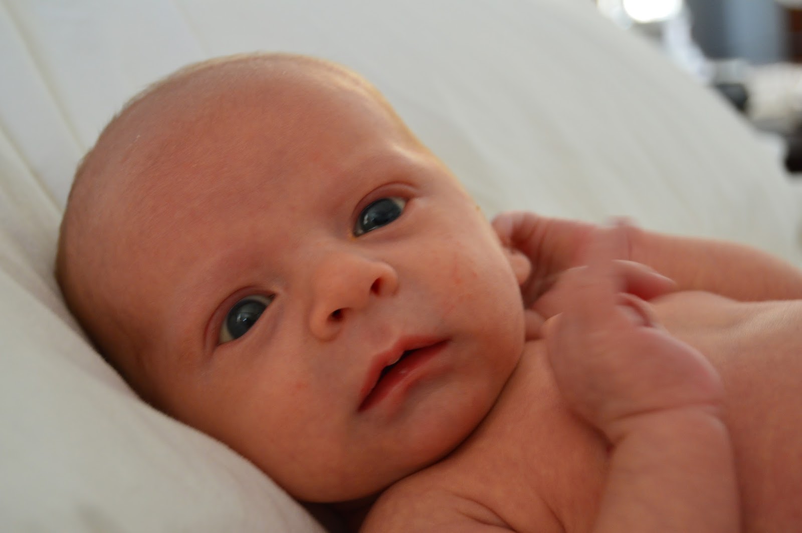 Loving Naomi Kathleen