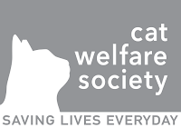 Cat rescue singapore