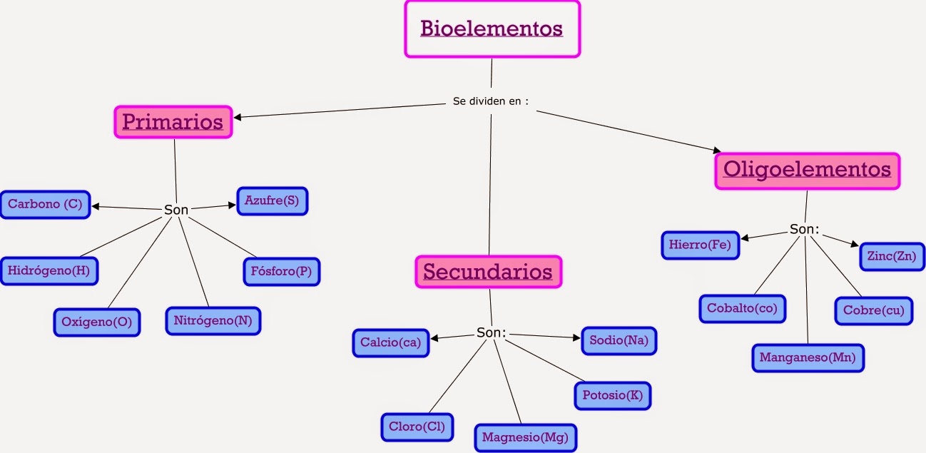 Cátedra de biologia : BIOELEMENTOS