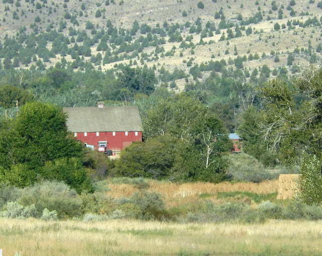 Cat Patches John Day, Oregon, to Home