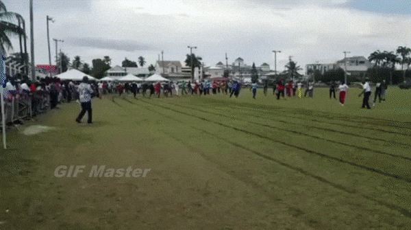 150971150617220549.gif