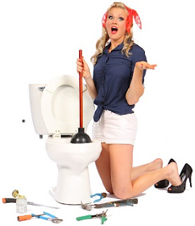 Clogged Toilet