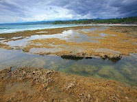 Destinasi Wisata Pantai Di Jawa Barat yang Mempesona