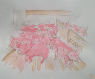 Les croquis et premières réalisations pour le reportage de Fakir sur l'élevage porcin. Guillaume Néel©