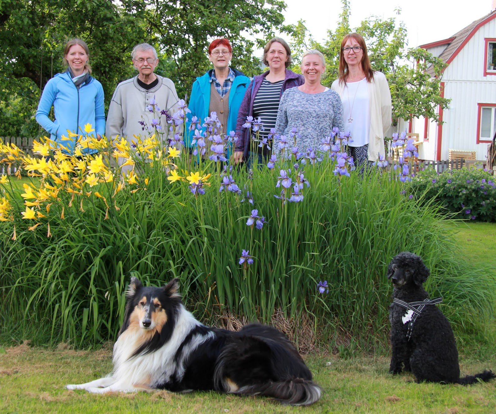 Ett besök hos hundprofilen Lars Fält | HUND-LYCKA