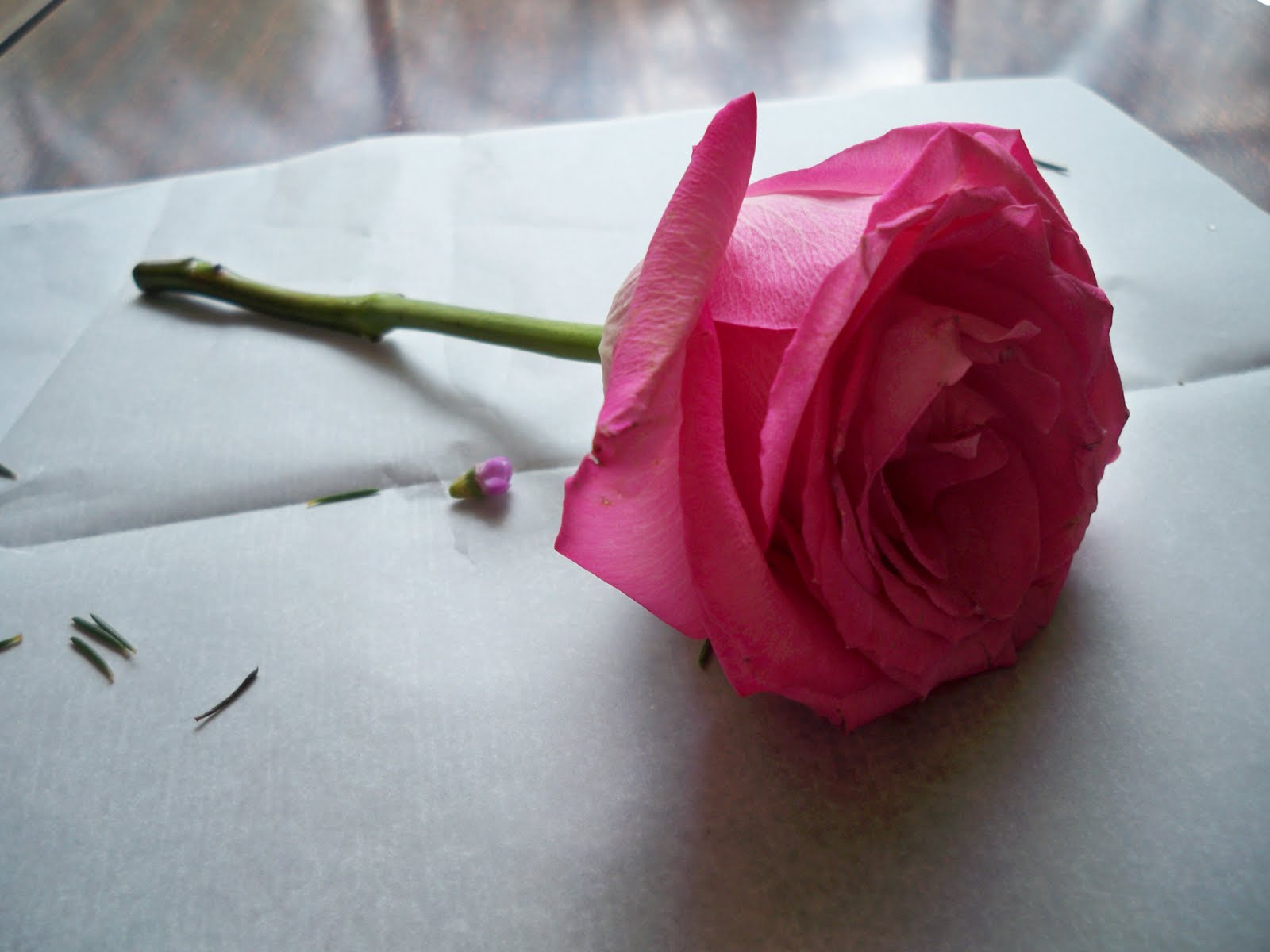 Devoted Daughter Flower Pressing