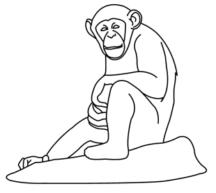 Chimpanzee Coloring Pages To Kids