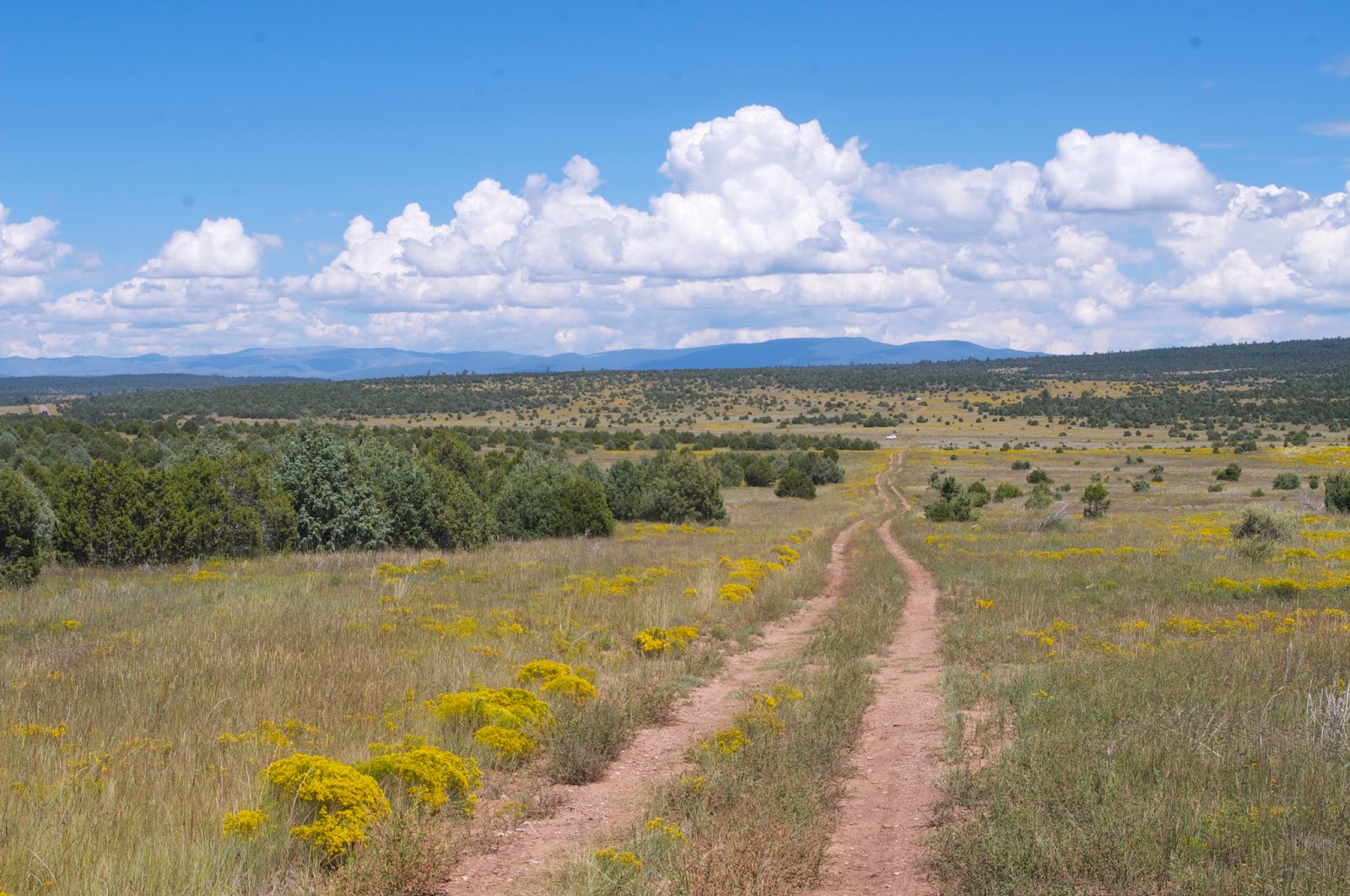 Southern New Mexico Explorer Glorieta Mesa ( NM 34, FR 124 ) Santa