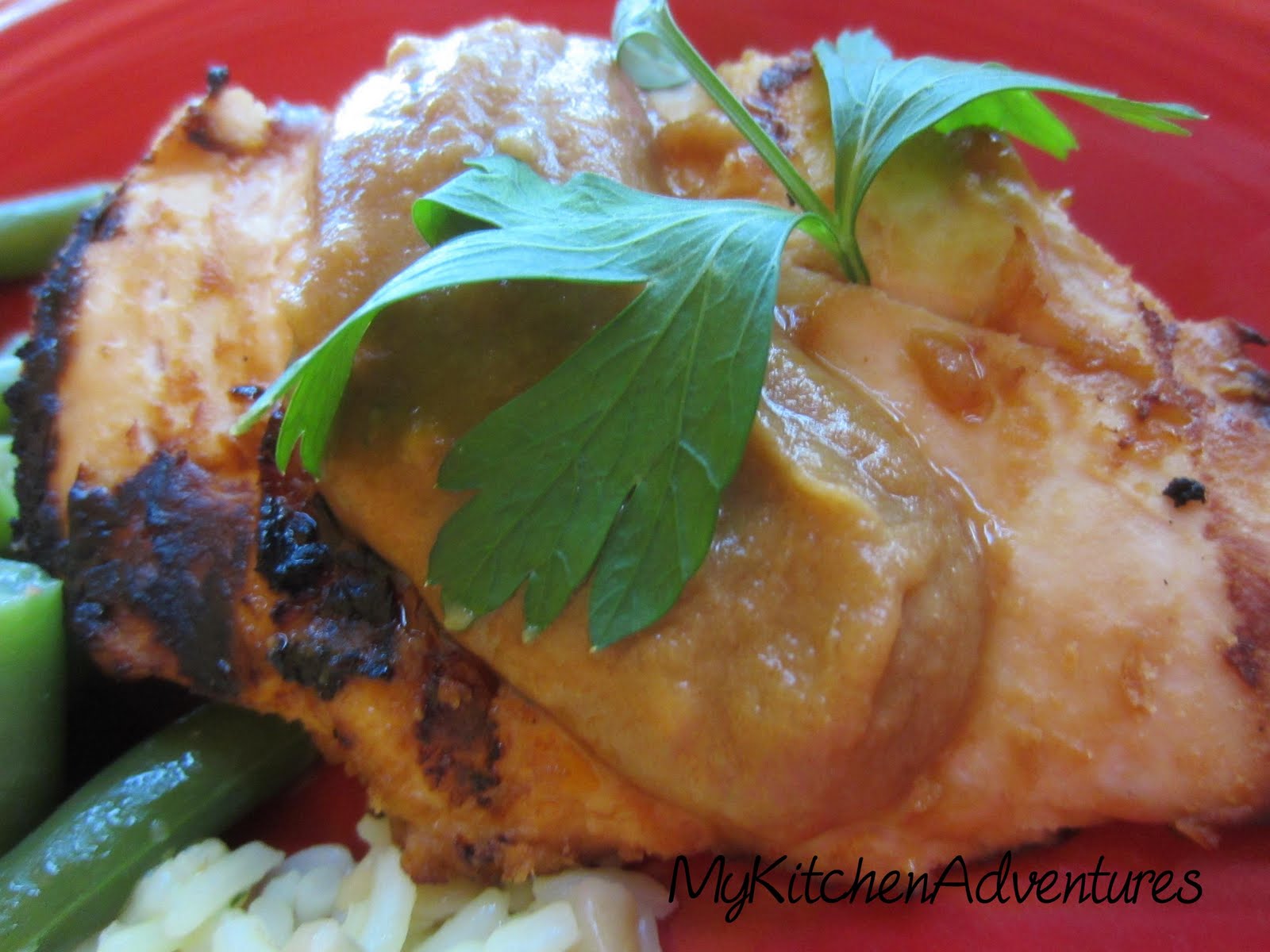 Grilled Peanut Butter Chicken w/ Peanut Dipping Sauce Renee's Kitchen