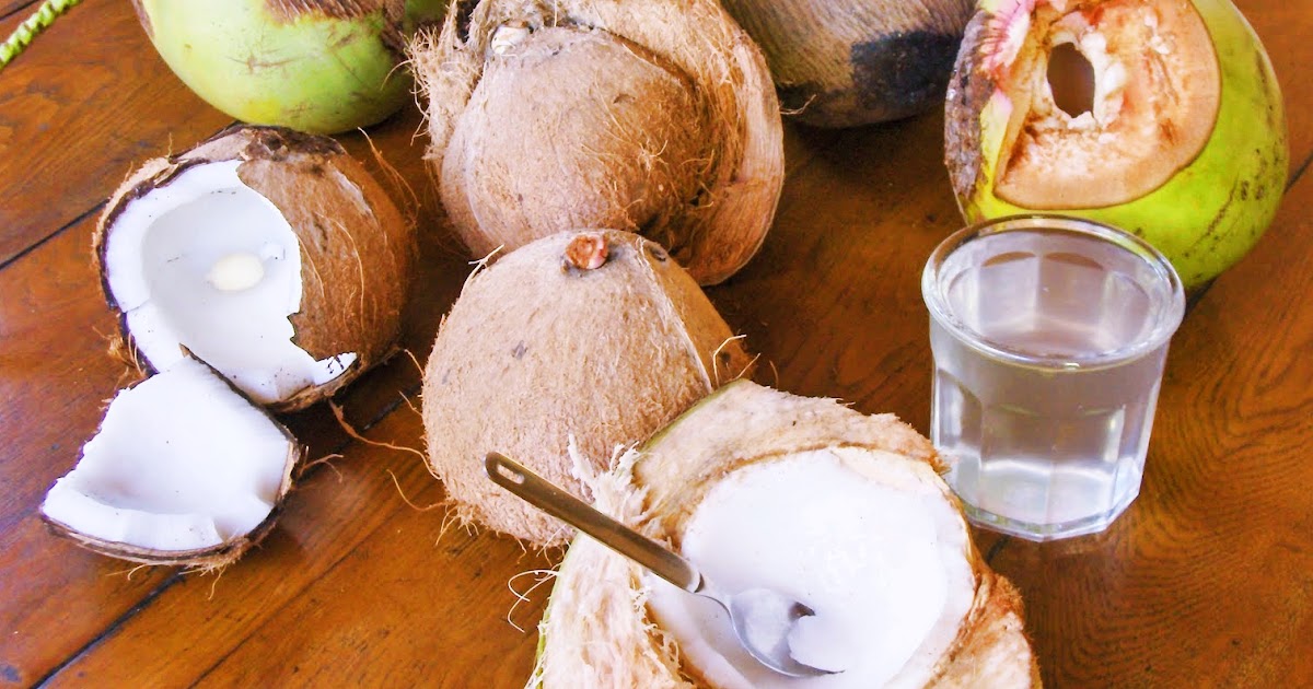 Cara Membuat Pupuk Organik Cair Dari Air Kelapa Agen M Bio Porasi