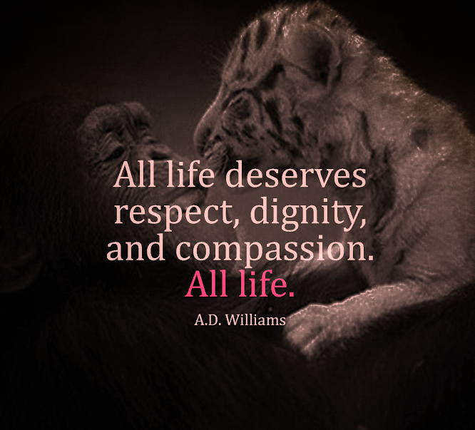 Quotes & Inspiration All life deserves respect, dignity and compassion all life.
