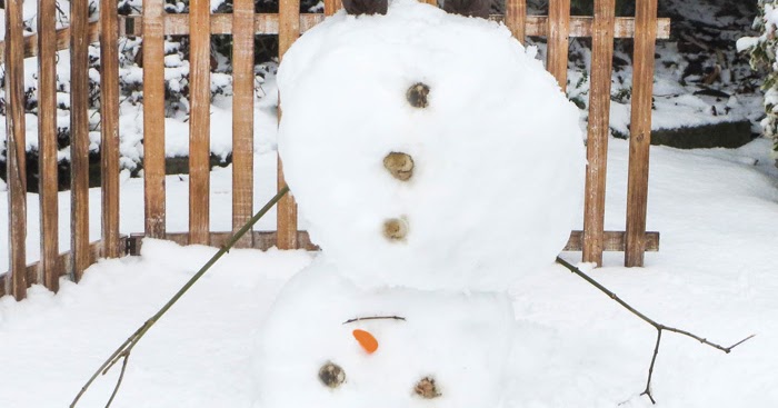 Im Garten Steht Ein Schneemann