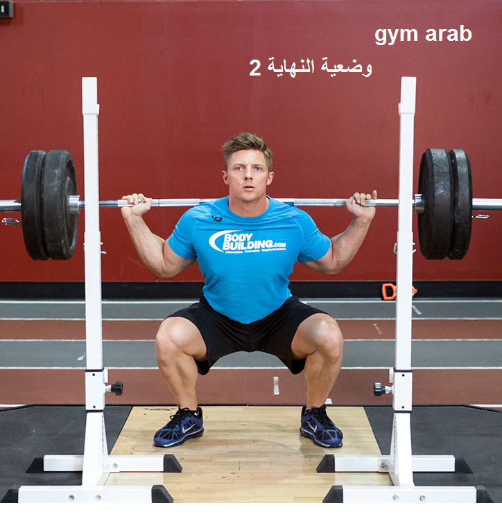 شرح تمرين القرفصاء (squat) جيم العرب Gym Arab