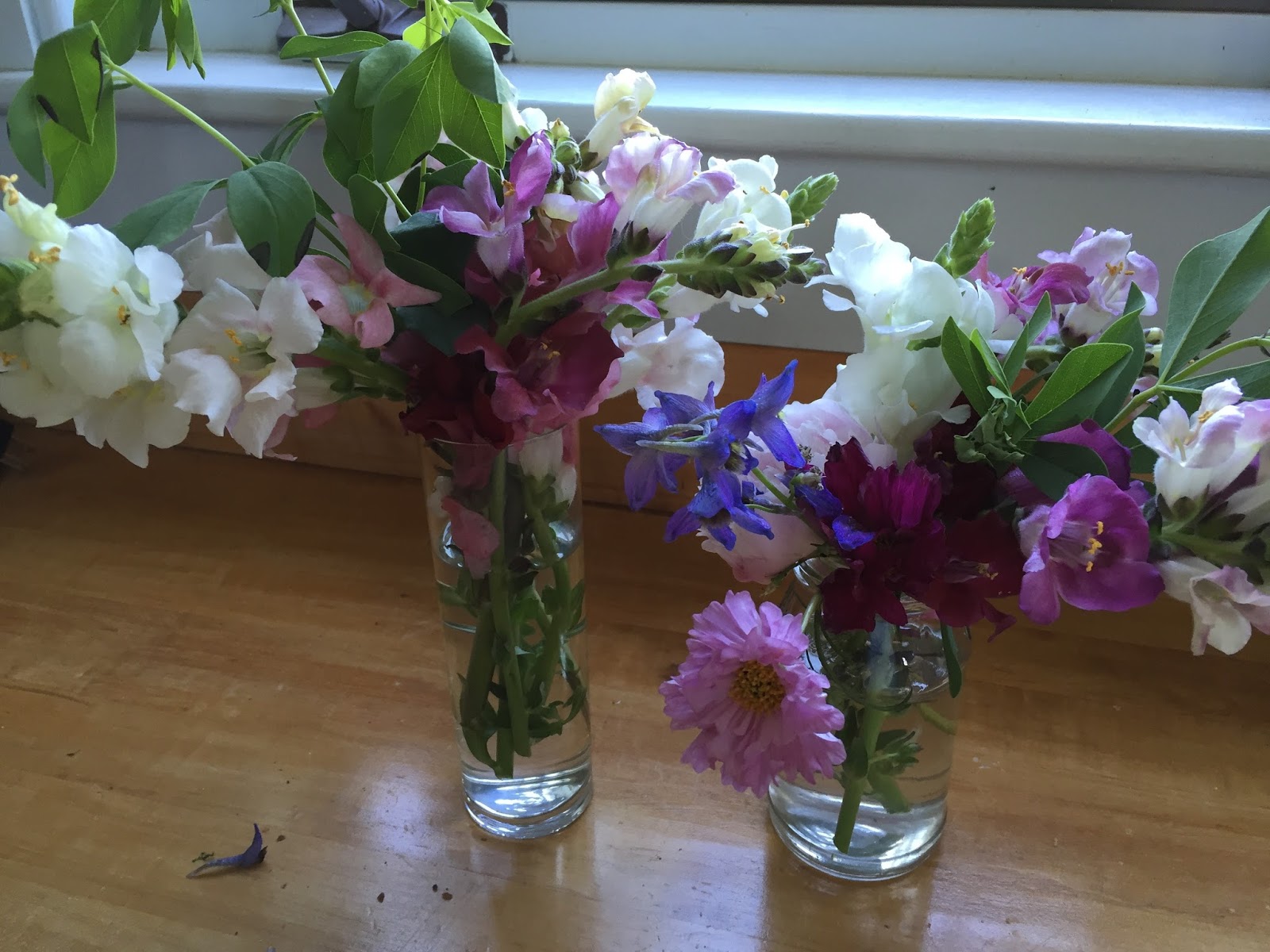 Letters from a Hill Farm: Today's picture/Week four CSA flowers